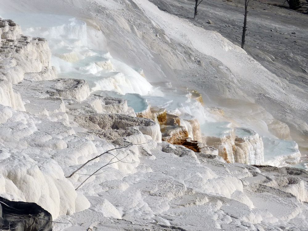 Yellowstone Mammoth Hotsprings (67).JPG